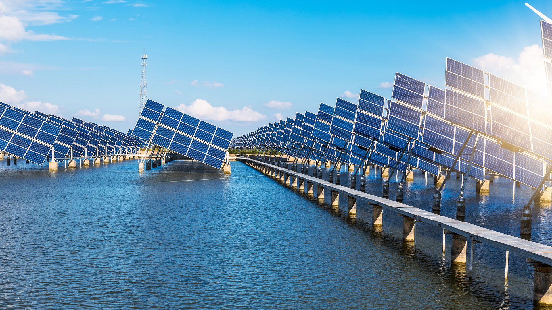 Impulsan desalinización a bajo costo para el riego agrícola con energía solar